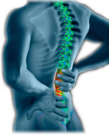 consigli contro il mal di schiena