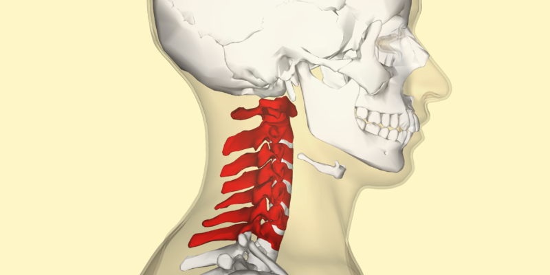 vertebra cervicale